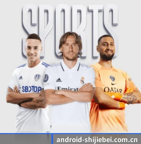 世界杯比分五大内容板块,覆盖赛事直播与实时比分 - 多运动项目内容板块