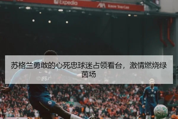 苏格兰勇敢的心死忠球迷占领看台，激情燃烧绿茵场