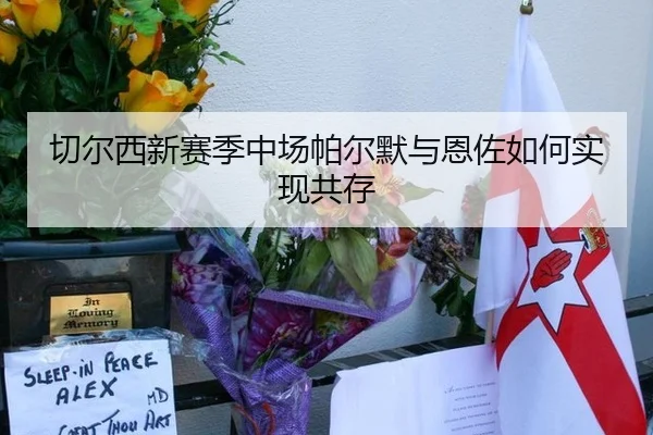 切尔西新赛季中场帕尔默与恩佐如何实现共存