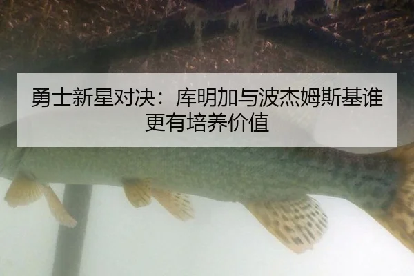 勇士新星对决：库明加与波杰姆斯基谁更有培养价值
